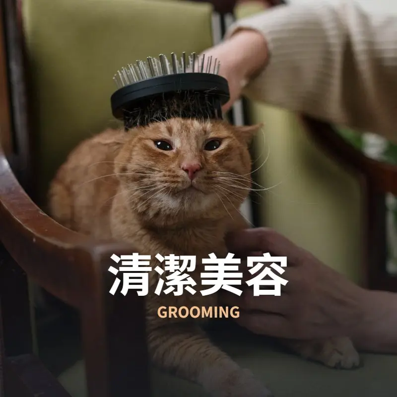 清潔美容