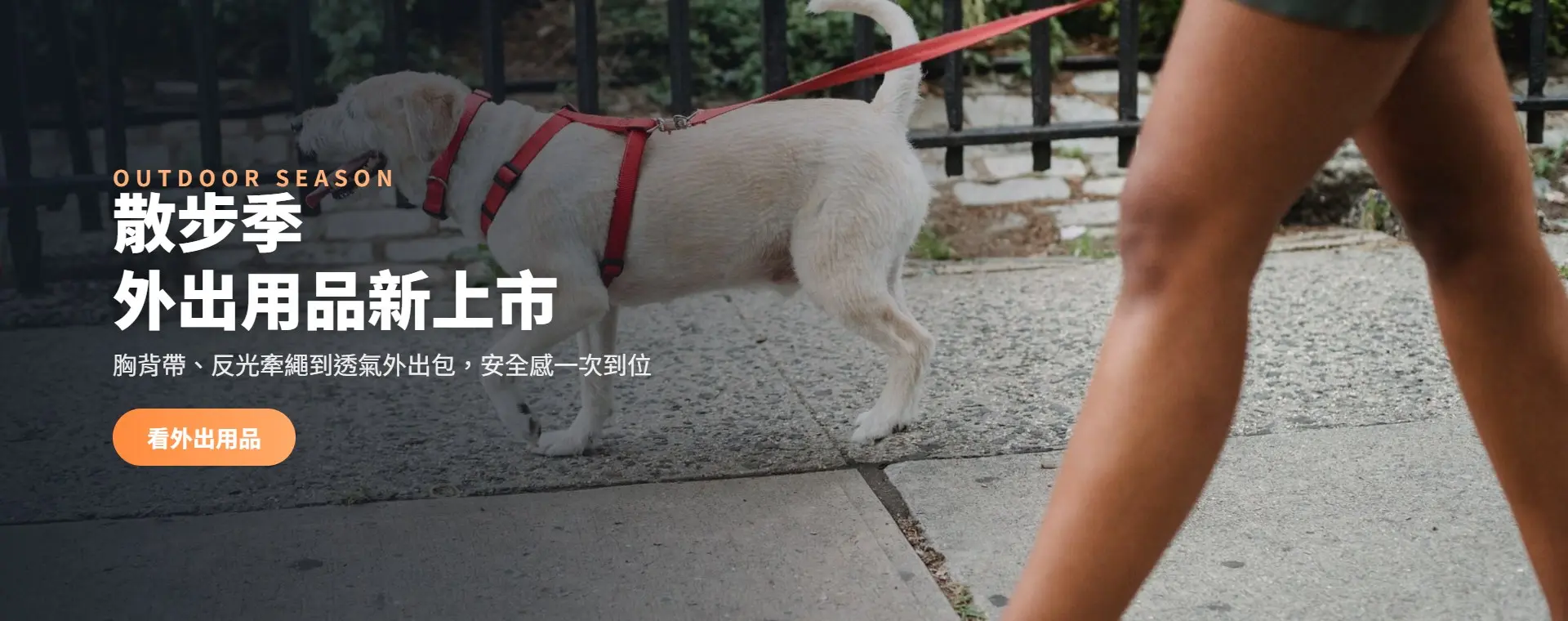 胸背帶、反光牽繩到透氣外出包，安全感一次到位。