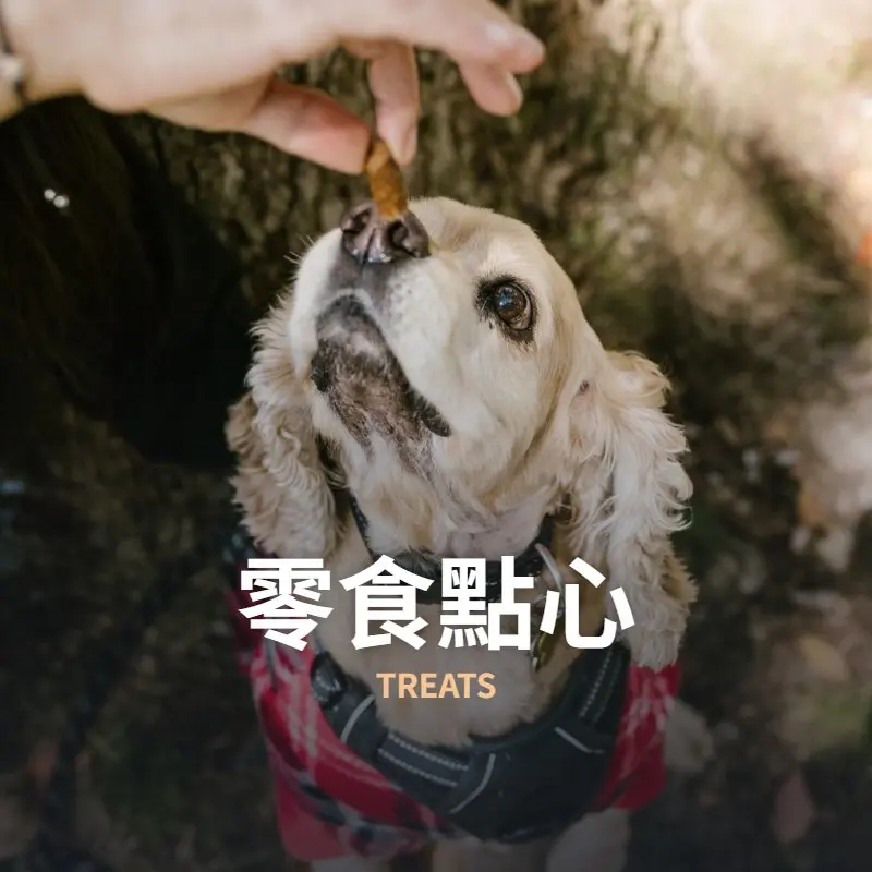 零食點心
