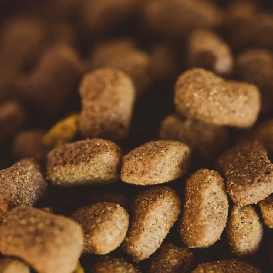 鮭魚南瓜 無穀犬糧 2kg
