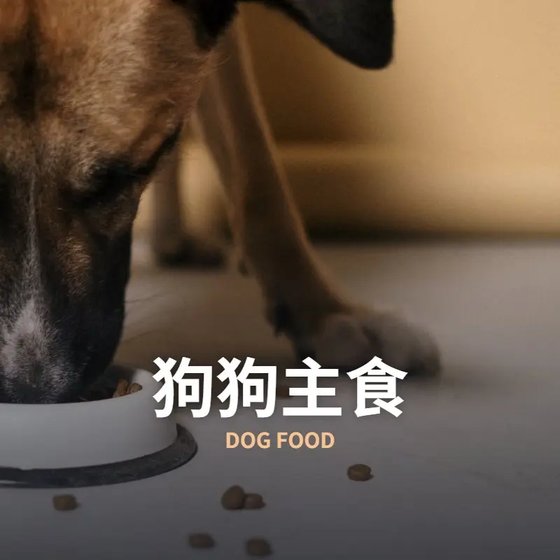 狗狗主食