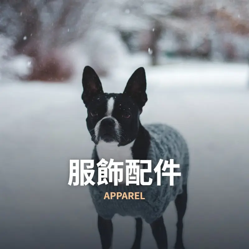 服飾配件
